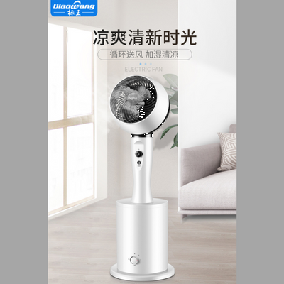 BIAO WANG Electric Fan